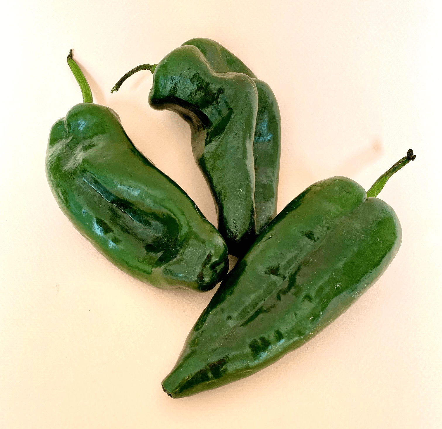 Chile Poblano Mediano - 0
