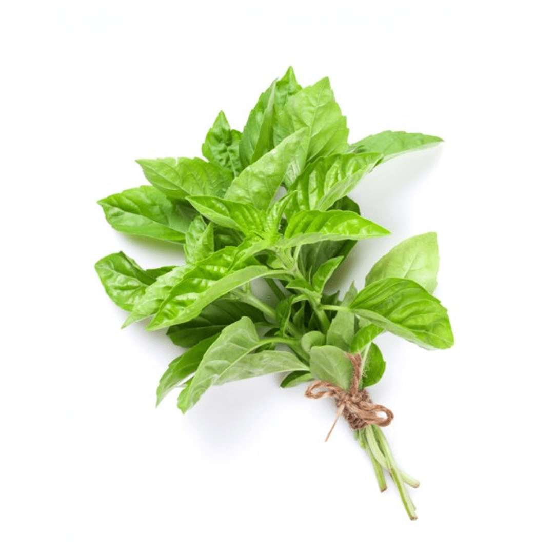 Albahaca Nacional - 0