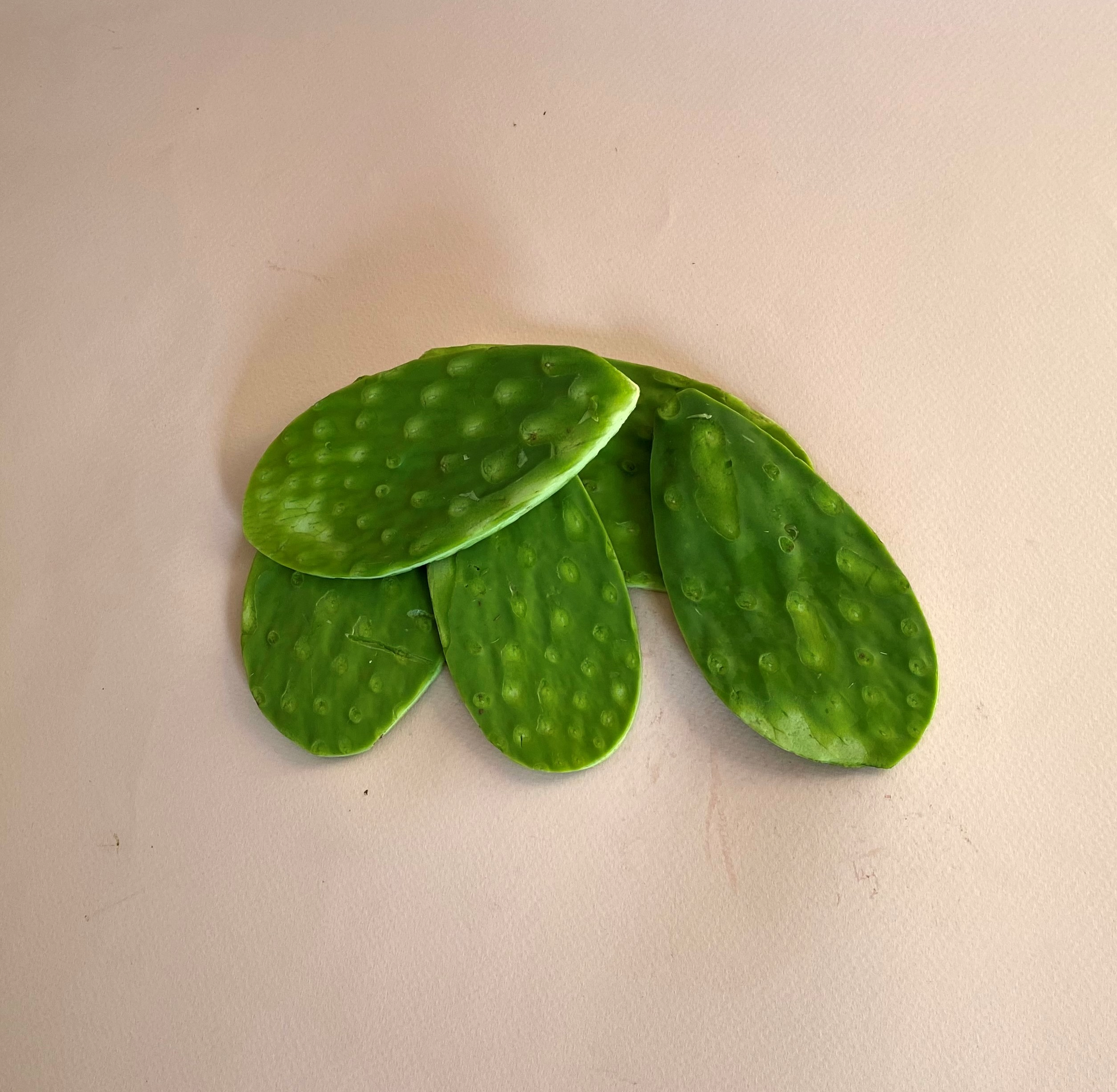 Nopal Baby - 0