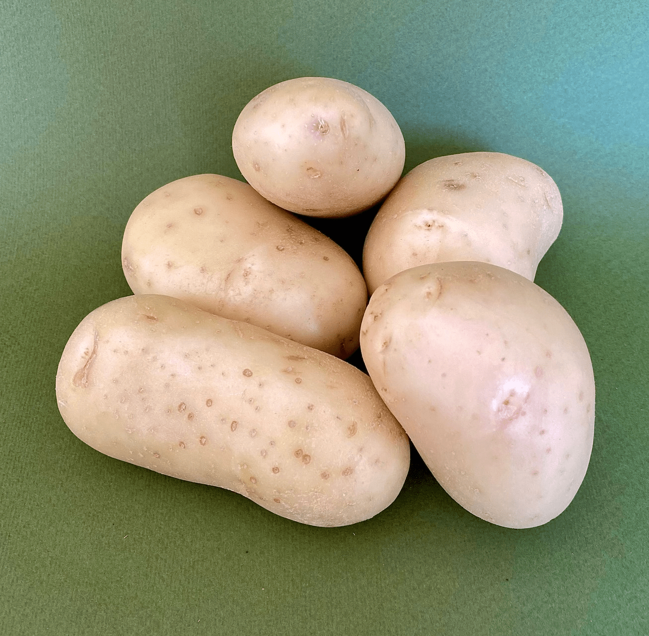 Papa Blanca de .250g - 0