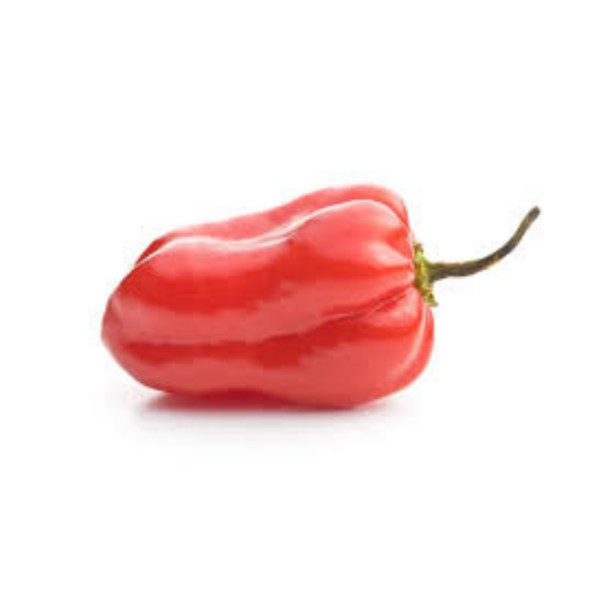 Chile Habanero Rojo - 0