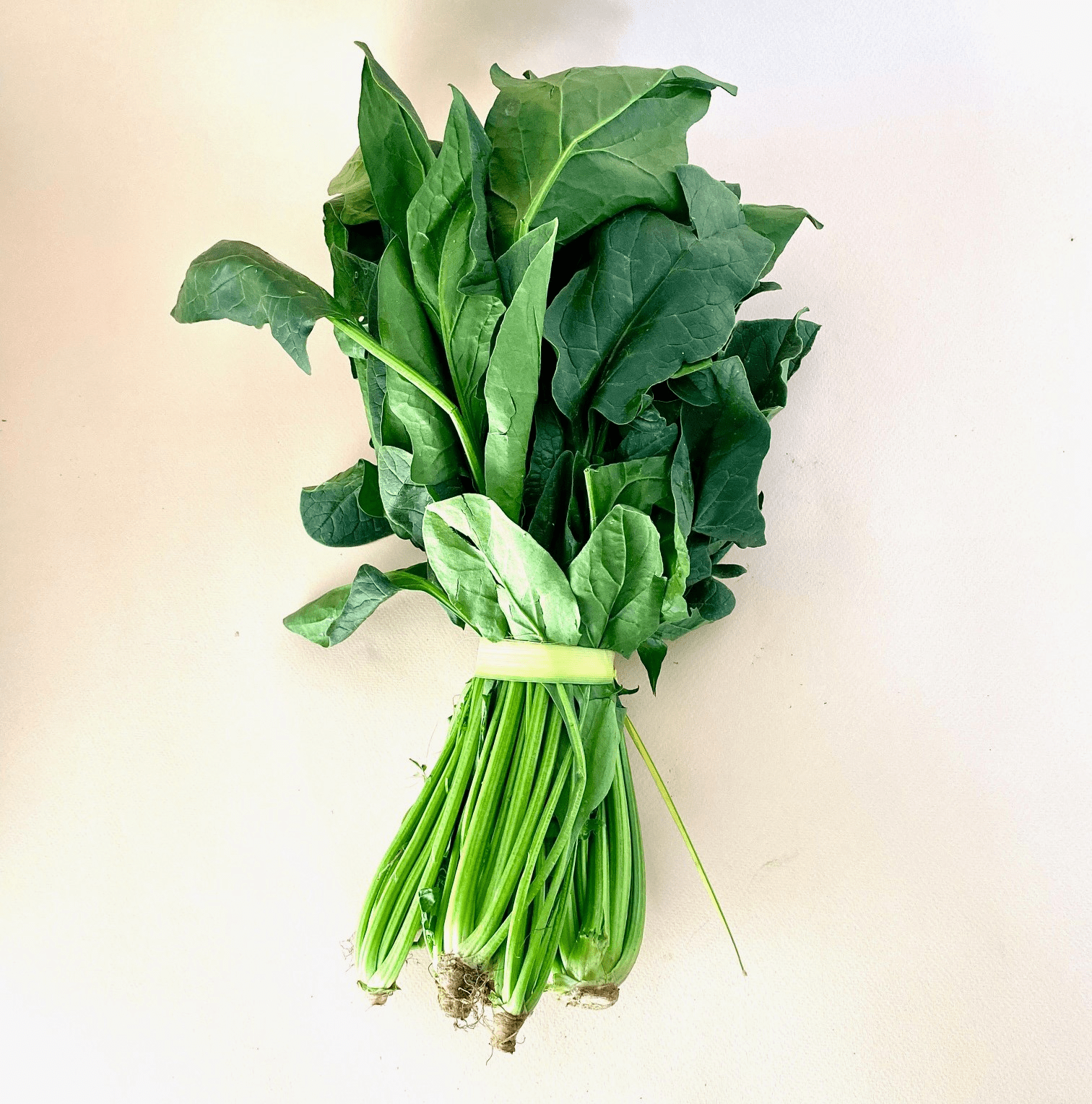 Espinaca - 0