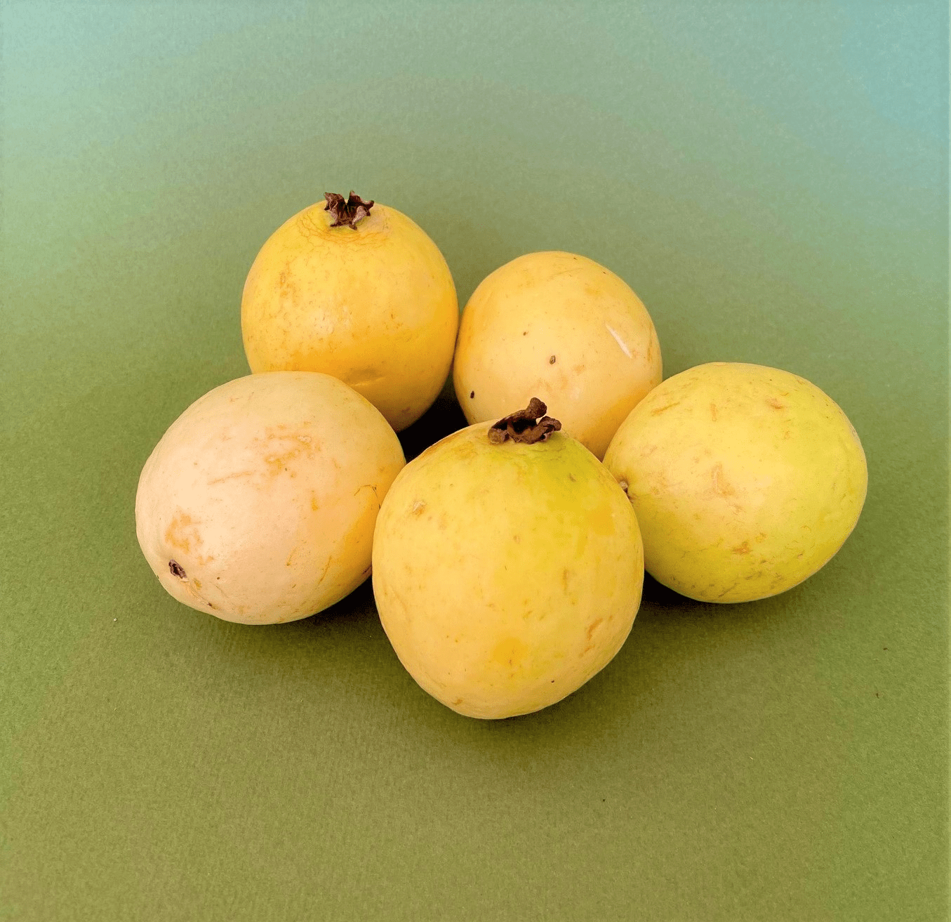 Guayaba - 0