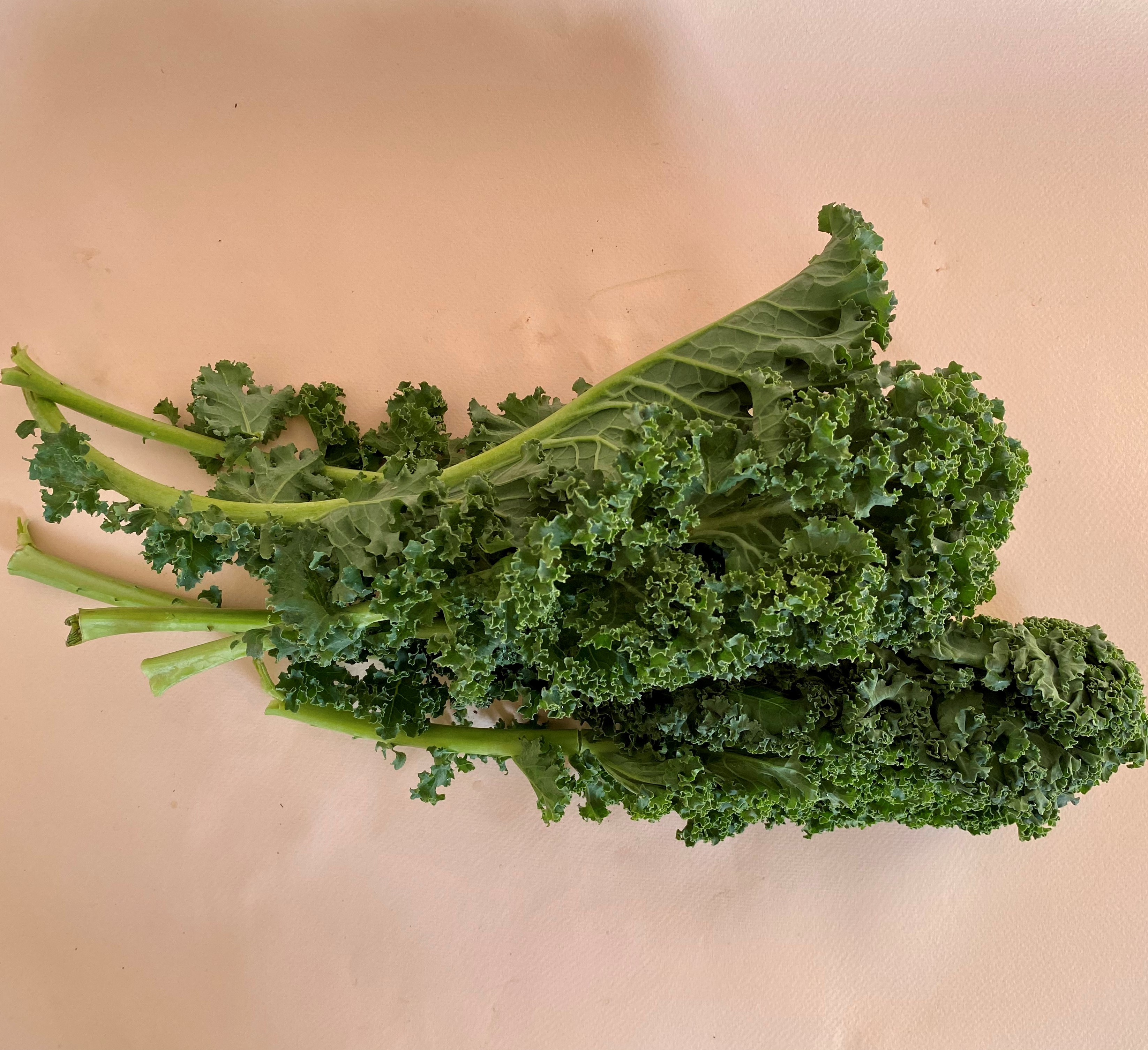 Kale - 0