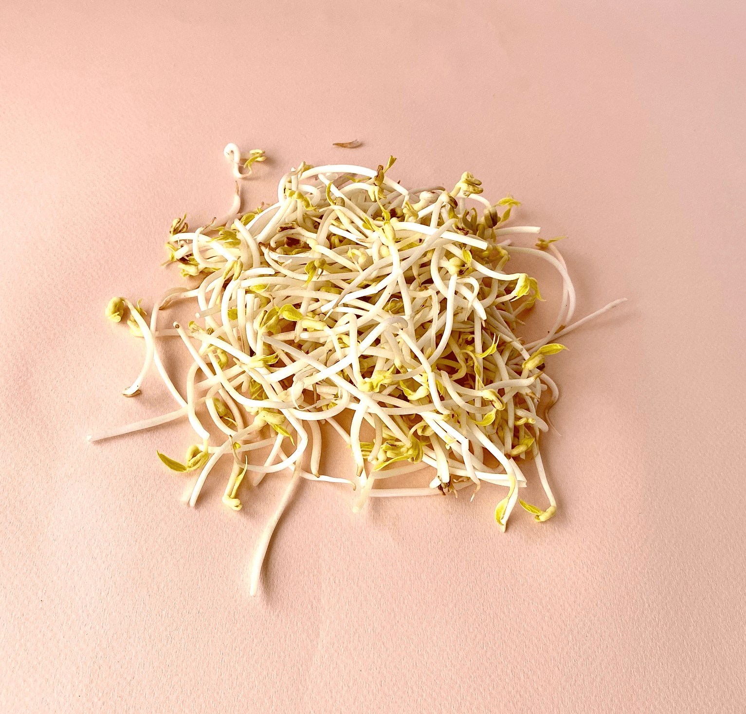 Germinado de Soya grueso - 0
