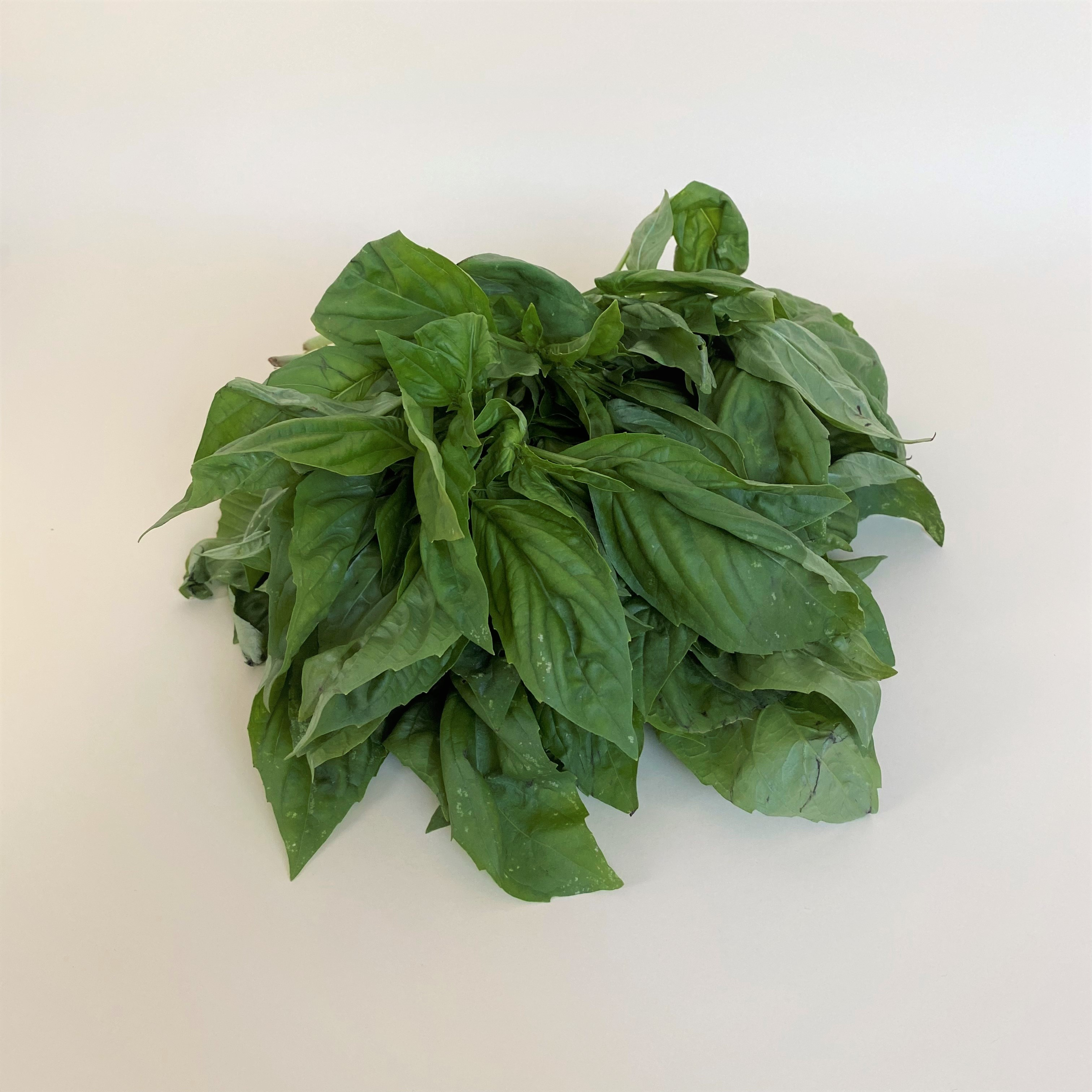 Albahaca Italiana - 0