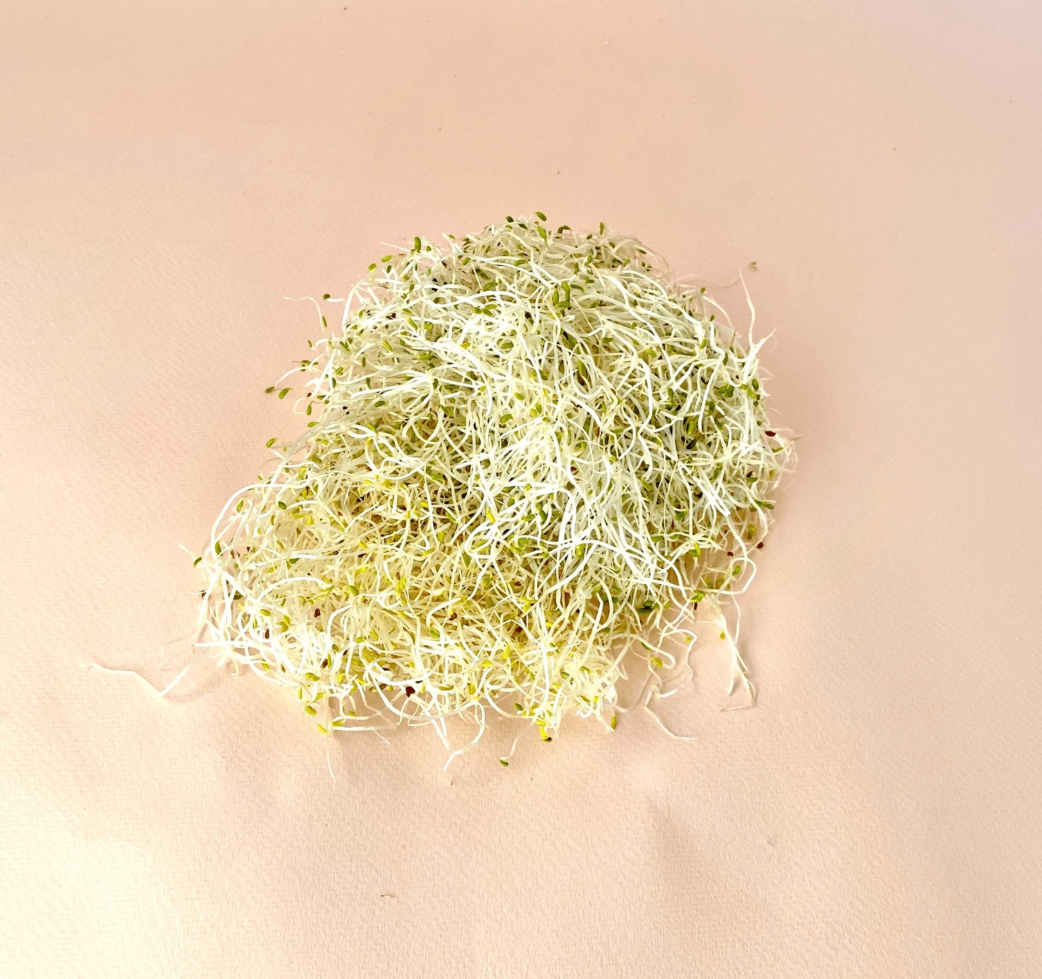Germinado de Alfalfa Domo 200 g - 0