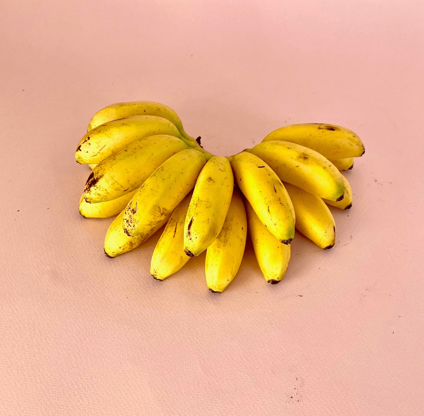 Plátano Dominico - 0