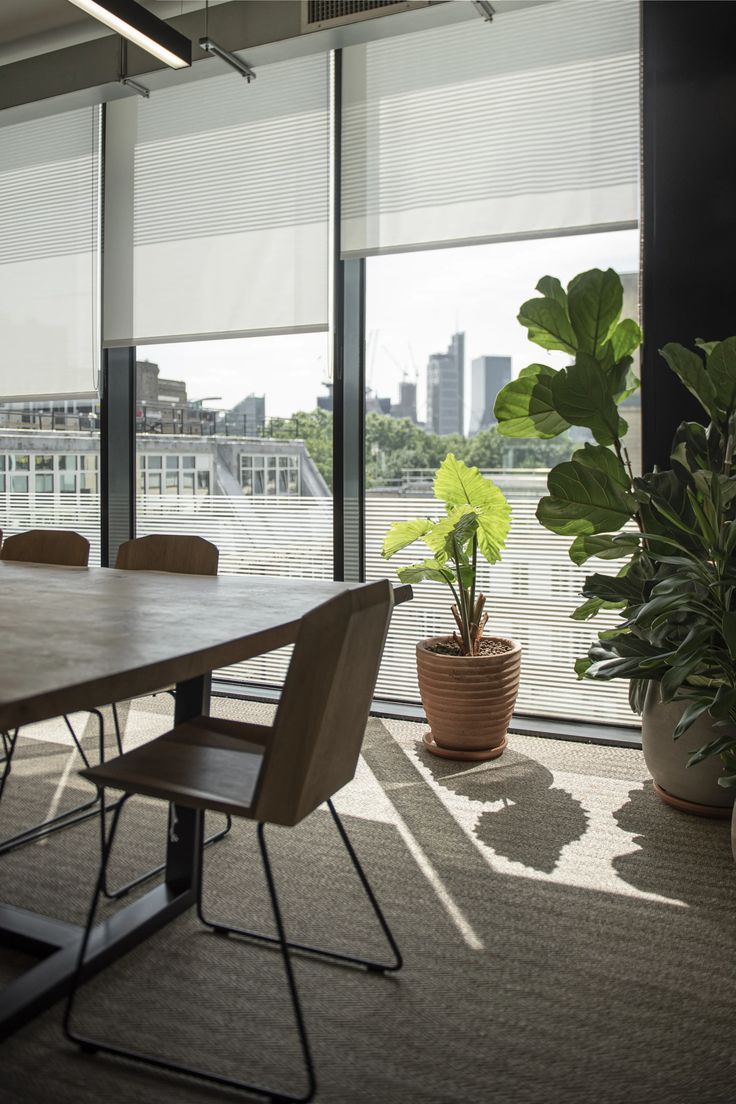 Natural bamboo and woven blinds in a warm sunlit interior