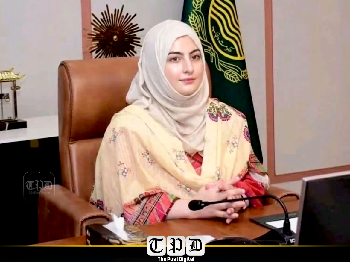 ملیحہ سحر کی شکایت پر شوہر جواد علی گرفتار، عدالت نے 14 روزہ جوڈیشل ریمانڈ پر جیل بھیج دیا