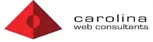 Carolina Web consultants