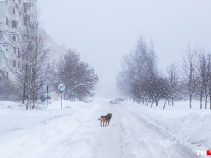 Ваня, Рикса, а кто еще? Главный метеоролог страны рассказал, как циклоны получают имена