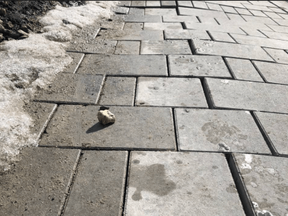 В центре Ярославля вспучило недавно уложенную плитку