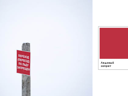 Снежное месиво и зимняя ель: собираем палитру с цветами, из которых состоит Ярославль