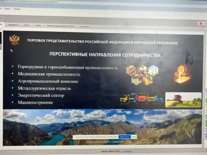 Ярославские компании обсудили сотрудничество с Киргизией в рамках «Часа с торгпредом»