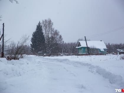 «Кресты, гробы и катафалки»: новое ярославское кладбище сократят в четыре раза