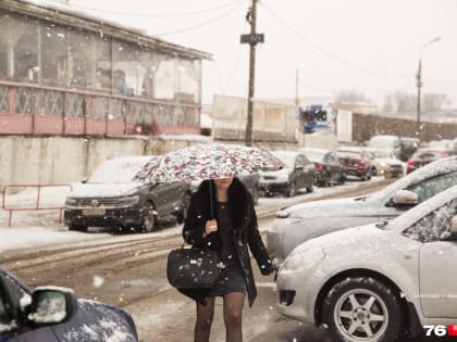 Воздух прогреется до +15˚С: синоптики предупредили о потеплении и дождях в Ярославле