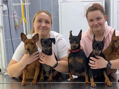 Лечат животных – спасают человечество