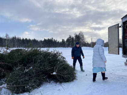 Ярославцы могут передать свои новогодние елки в зоопарк