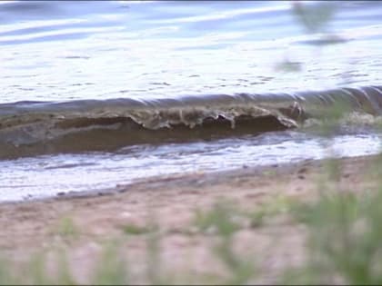 В Ярославле запрещено купаться на городских пляжах