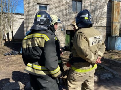 Торфяной пожар в Рыбинском районе: возгорание локализовано