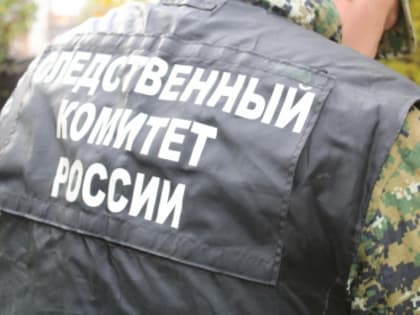 В Ярославской области следователями устанавливаются обстоятельства возгорания автомобиля на трассе