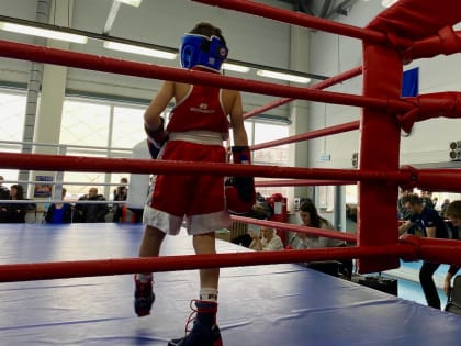 В Ярославле состоялись городские соревнования по боксу