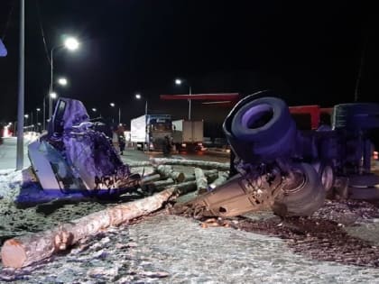 В Ярославской области осудили водителя лесовоза за ДТП, в котором пострадала детская спортивная команда