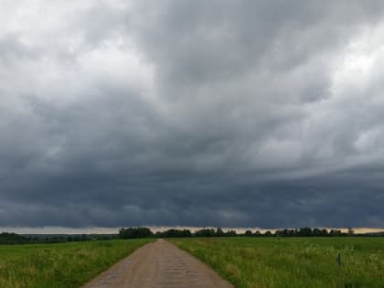 Погода напомнит осень: в Ярославскую область идут дожди и похолодание