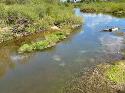 Расчистку русел рек Обноры и Учи проведут в этом году