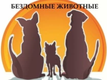 ИНФОРМАЦИЯ о количестве животных, которые не имеют владельцев.