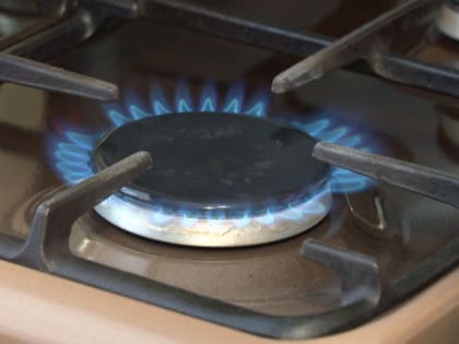 Сотрудники МЧС предотвратили взрыв газа в многоквартирном доме в центре Ярославля