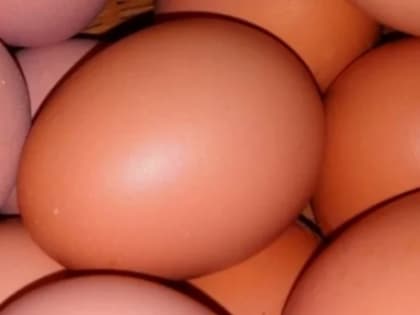 В Ярославской области проверят цены на яйца