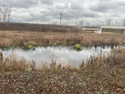 Ярославский депутат нашел фекальное озеро