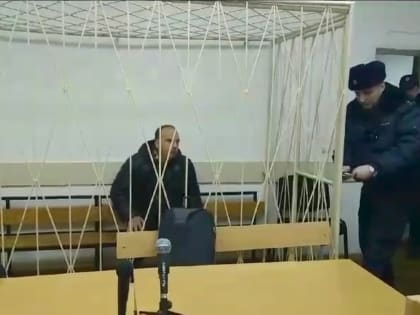 Суд в Ярославской области заключил под стражу водителя, насмерть сбившего отца и сына