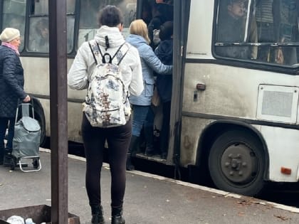 Мэр Ярославля предложил наказывать перевозчиков за каждое нарушение