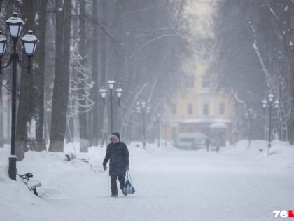 От одного взгляда снежинки почувствуйте! Полюбуйтесь морозными кадрами метели в Ярославле
