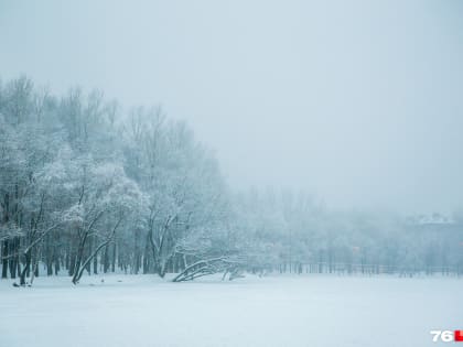 «Гололедица, снежные заносы»: МЧС выпустило экстренное предупреждение для Ярославской области