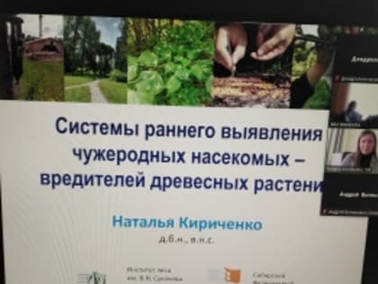 Набираемся знаний и опыта!