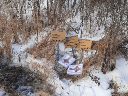 «Добиться правды»: жительница Ярославля требует эксгумации умершего мужа