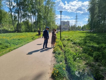 Бывшего подрядчика Павловской рощи признали недобросовестным