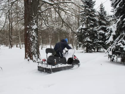 В центре Ярославля появится лыжная трасса