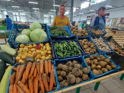 Ярославльстат рассказал, как изменились цены на продукты «борщевого набора»