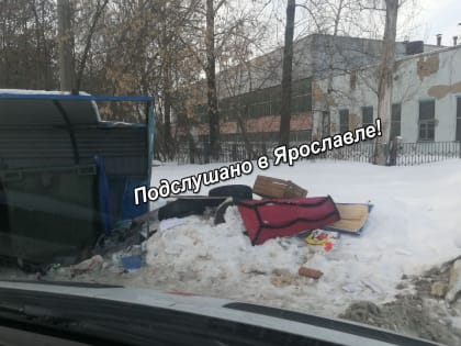 «Возможно, детских»: ярославцы заметили крышки от гробов рядом с мусорными контейнерами