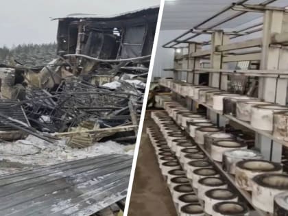 «Столько еще дел»: на гончарном заводе показали, в каком состояние находится предприятие через неделю после пожара. Видео