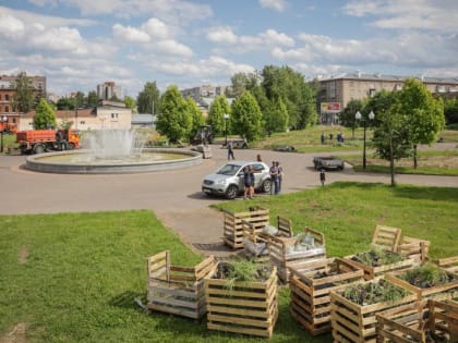 Частная компания превращает Димитровский парк в цветущий сад