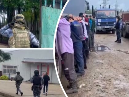 Ярославские спецслужбы накрыли подпольный ЗАГС