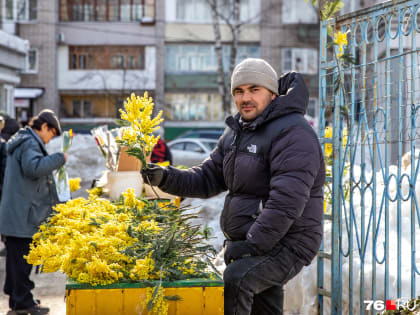 Снег еще лежит, а в Ярославль уже наполнен цветами: как ярославцы готовятся к празднику