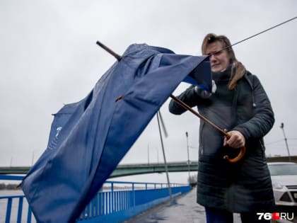 Спасатели МЧС выпустили экстренное предупреждение о погоде в Ярославле