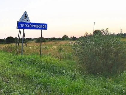 В Ярославле откладывается проектирование нового кладбища